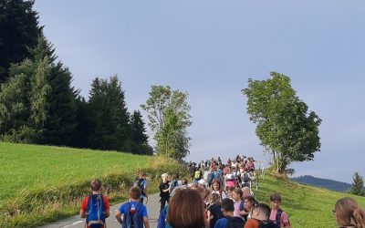 POHORJE 1.DAN